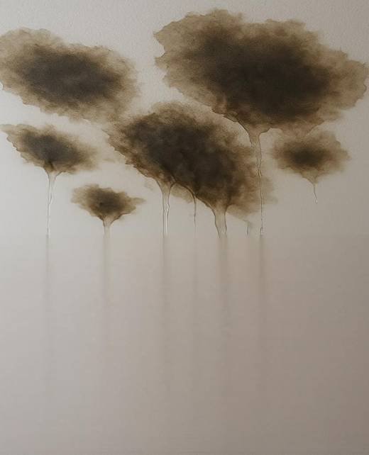 LNS Page 1 Leaking ceiling - several leaks, brown mold download